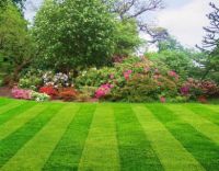 Top Dressing Sterilised 3mm Bag