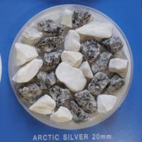 Arctic Silver